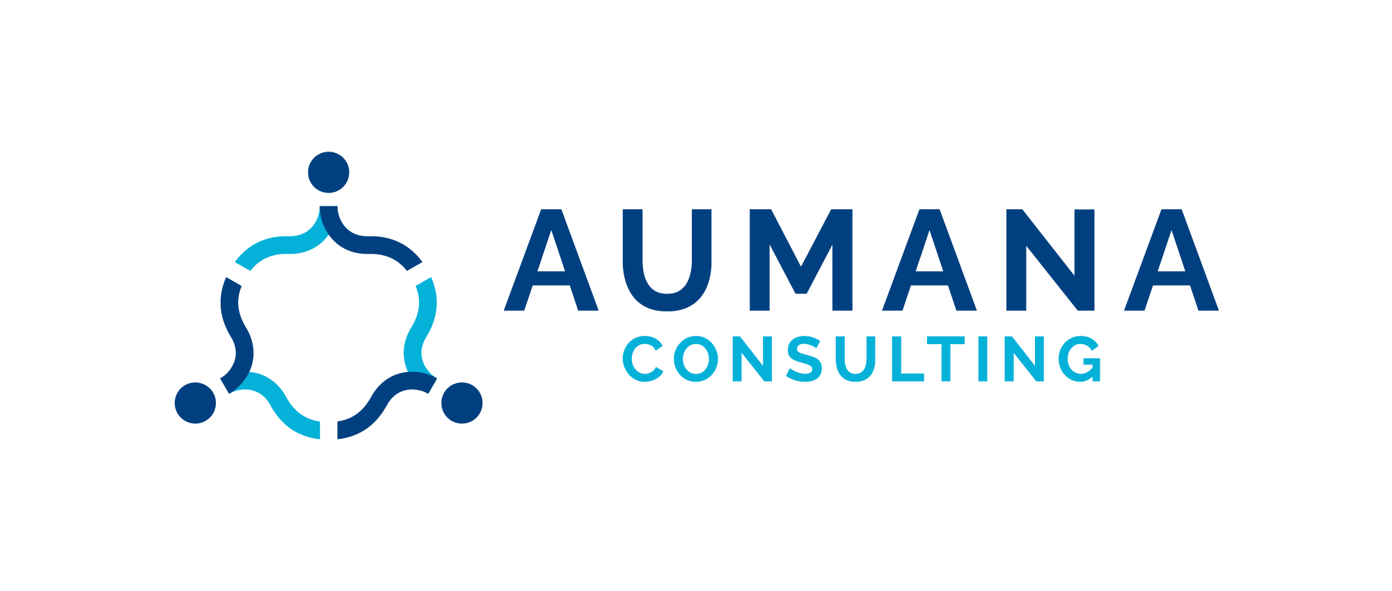 Aumana Consulting – CTO à temps partagé – Nicolas Caussin